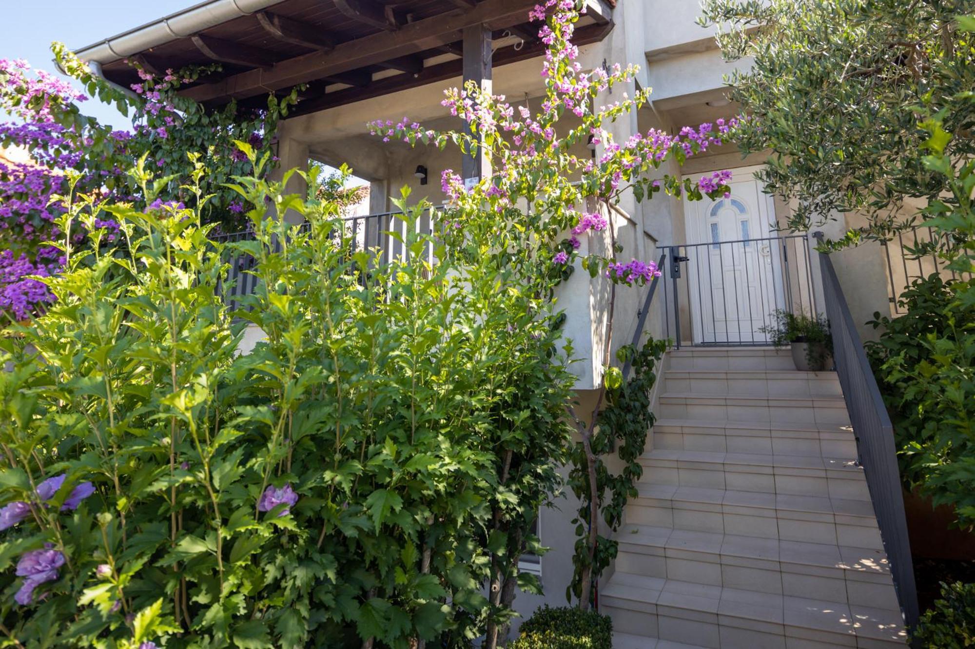 Lumaja Luxury Apartman Biograd Na Moru Εξωτερικό φωτογραφία
